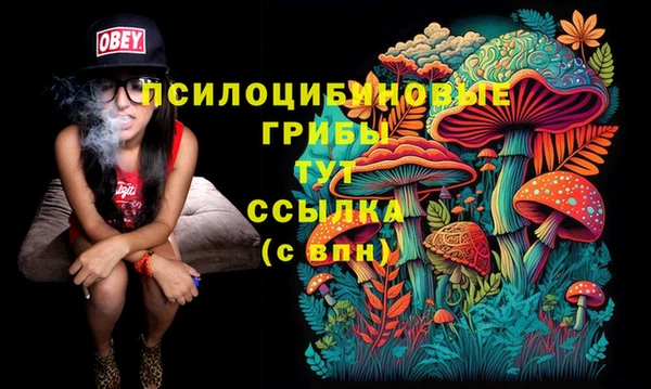 прущая мука Абаза