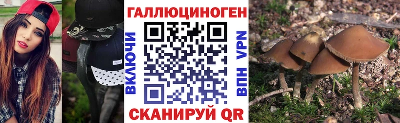 купить наркоту  ссылка на мегу tor  Галлюциногенные грибы Cubensis  Ленинградская 